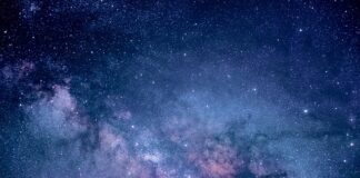 Co daje badanie satysfakcji pracowników?