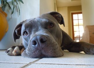 Ile płacą za 1% uszczerbku na zdrowiu?