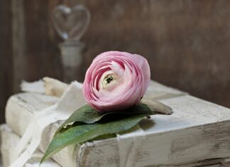 Do czego są zobowiązani rodzice dziecka podlegającemu obowiązkowi szkolnemu?