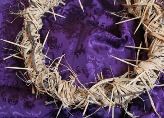 Ile dni jest na zgłoszenie wypadku?