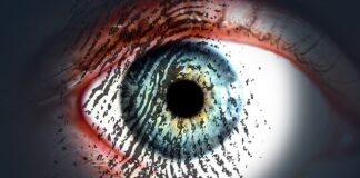 Jakie zagrożenia wprowadzają w naszym życiu systemy informacyjne i informatyczne?