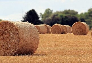 Na czym polega rola matki?