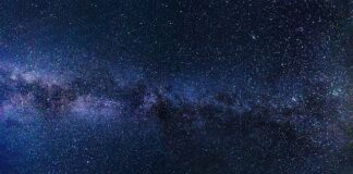 Które elementy wchodzą w skład systemu zarządzania baza danych?