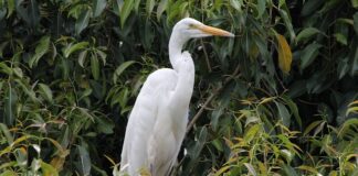 Jak tanio mieszkać?