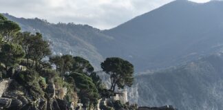 Ile kosztuje podpisanie umowy najmu u notariusza 2023?