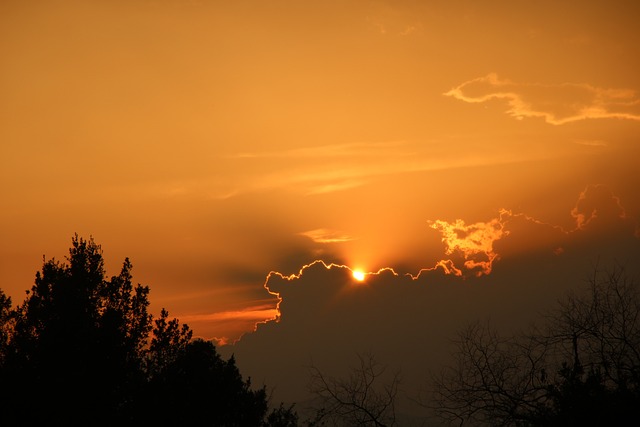 Jakie są metodyki zarządzania projektami? Jakie są metodyki zarządzania projektami?