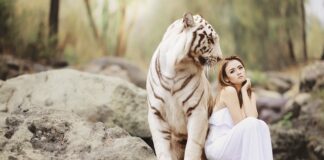 Jak wygląda ochrona danych osobowych?