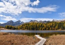 Jak potwierdzić staż pracy za granicą?