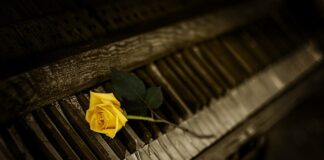 Ile kluczy może zawierać baza danych?