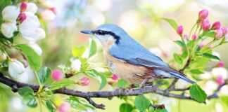 Co to jest mały ZUS?