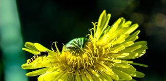 Jaka jest najlepsza umowa najmu mieszkania?