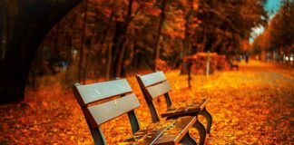 Na czym siedzieć na festiwalu?