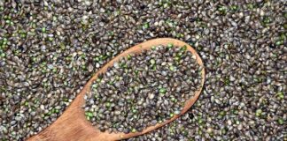 Do czego prowadzi Nieleczona psychozą?