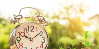 Czy zarządzanie to studia ekonomiczne?