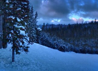 Na co iść po licencjacie z administracji?