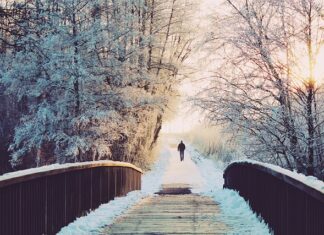 Ile dni wstecz można wystawić umowę o pracę?