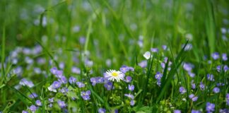 Czy nagrody wlicza się do 13? Czy nagrody wlicza się do 13?