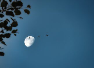 Czy migracje mają wpływ na społeczeństwo i gospodarkę danego kraju? Czy migracje mają wpływ na społeczeństwo i gospodarkę danego kraju?