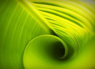 Co lepsze liniowy czy skala podatkowa?