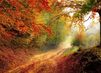 Od którego roku płacimy podatki?